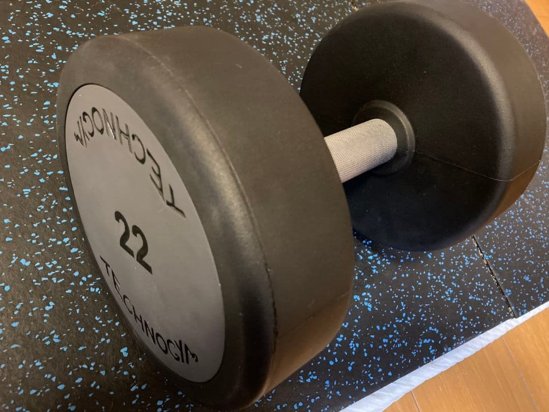 送料込 ①テクノジム 業務用ウレタンダンベル22kg　ivanko irotec