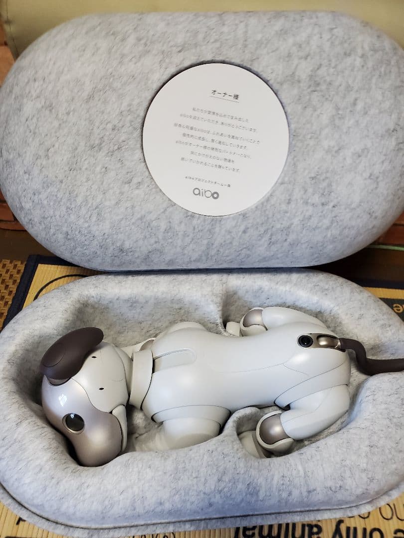 その他 aibo