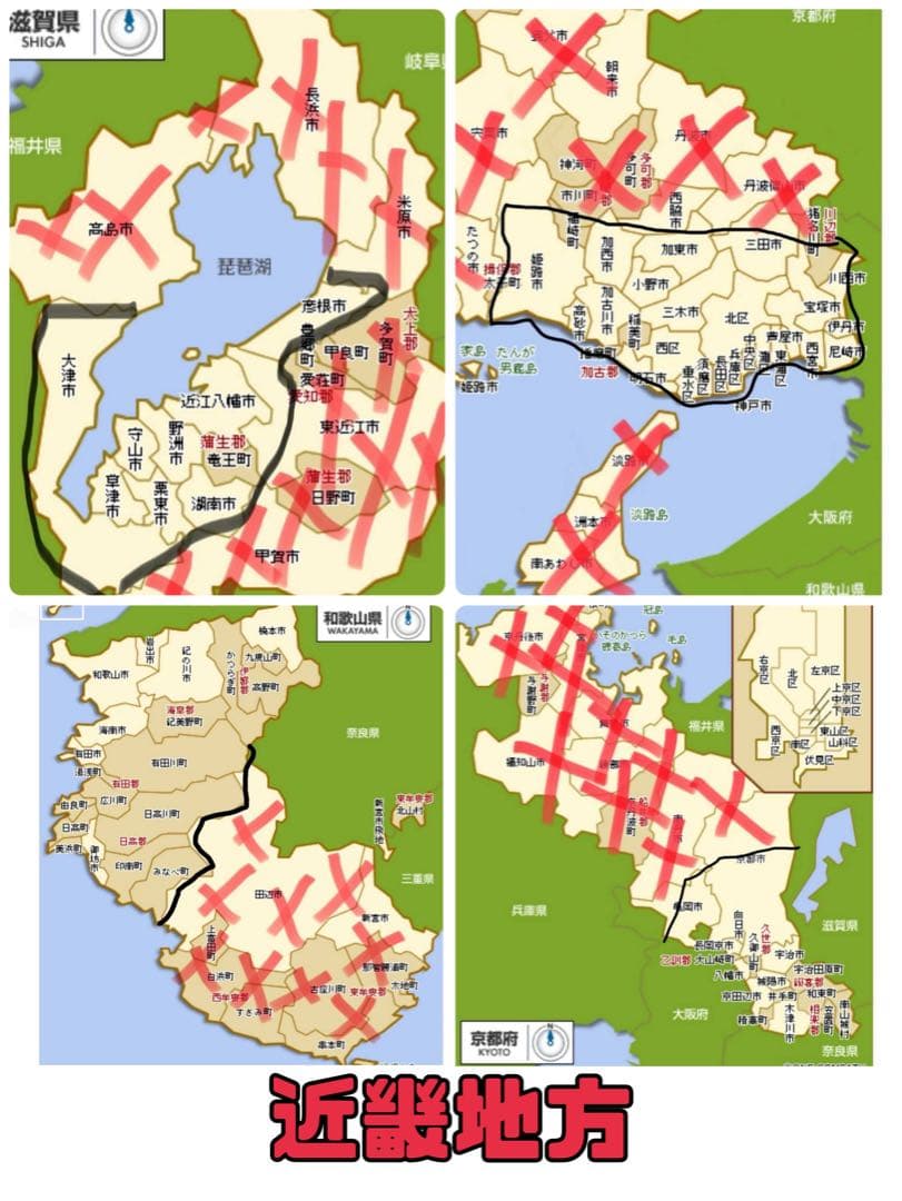 自転車本体 Bianchi PRIMAVERA
