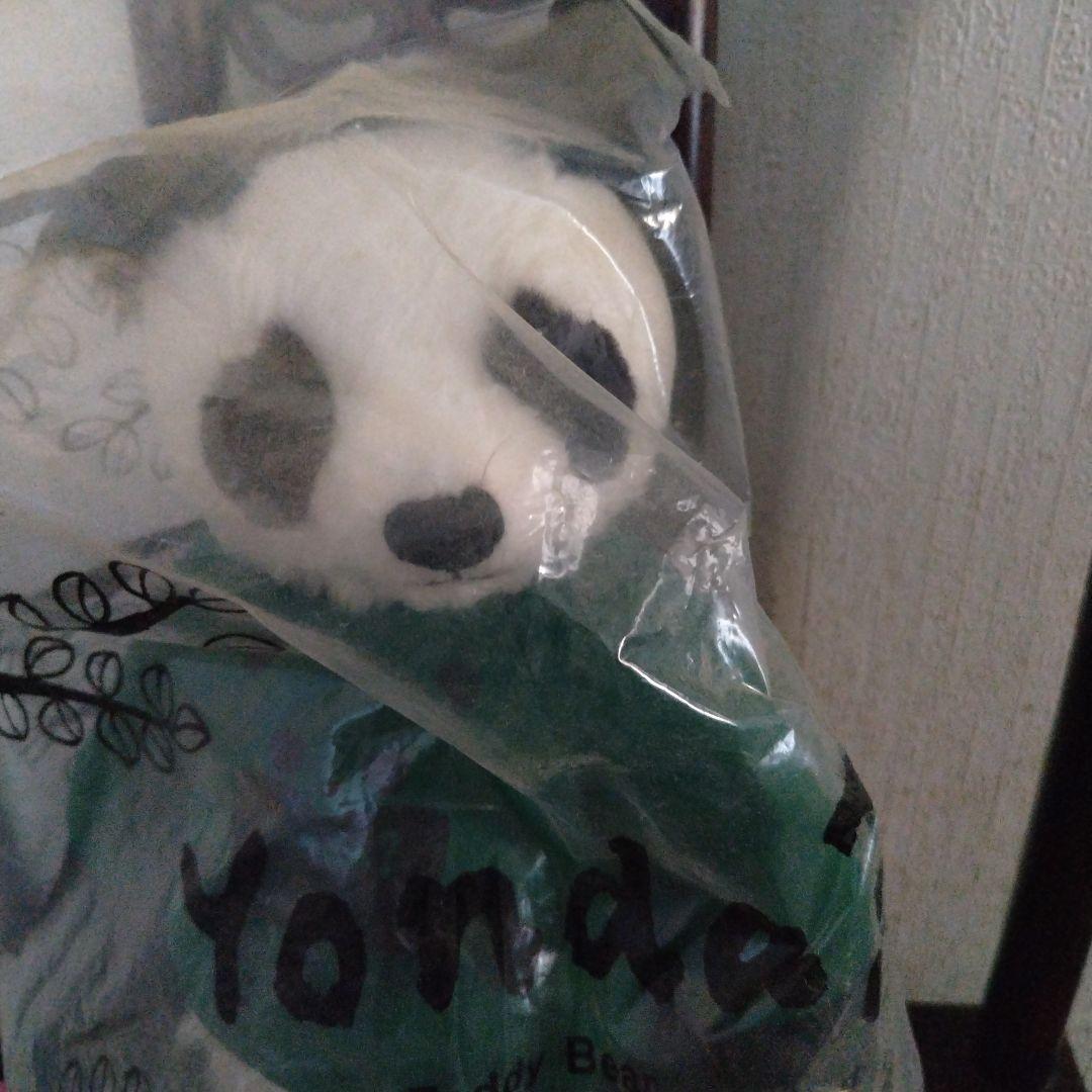 ★新潮文庫 Yonda Club ノベルティ テディベア 非売品