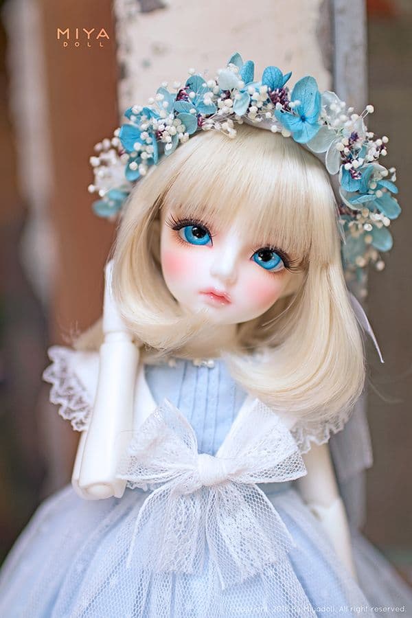 MIYA DOLL 限定 Blue Bell holiday ヘッドのみ 新品