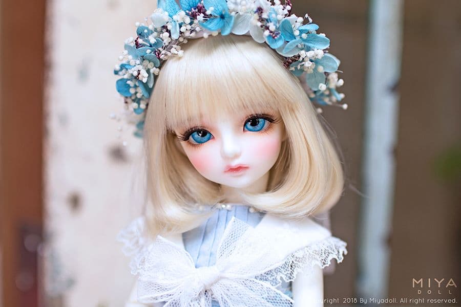 MIYA DOLL 限定 Blue Bell holiday ヘッドのみ 新品