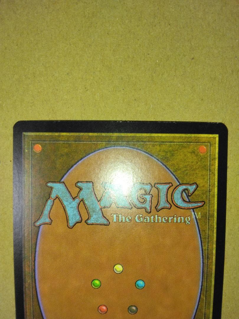 ヤヴィマヤの沿岸 Yavimaya Coast 英語 Foil APC MTG