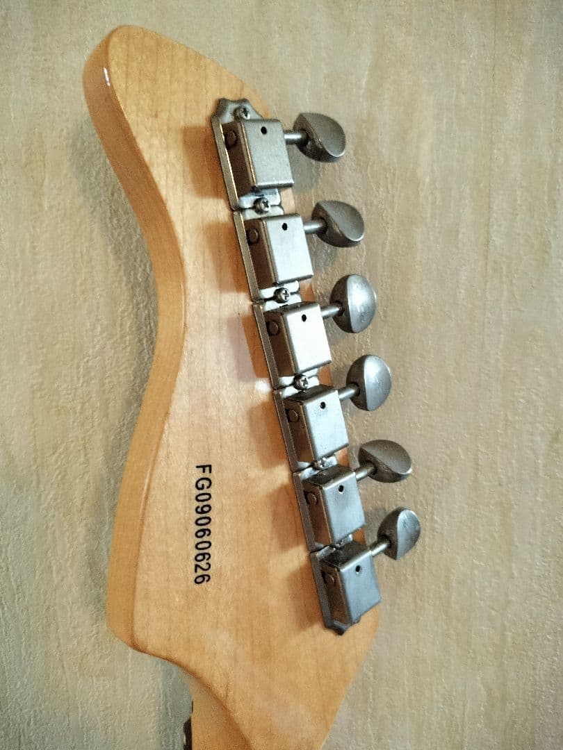 ソフトカバー付きエレキギターFERNANDES