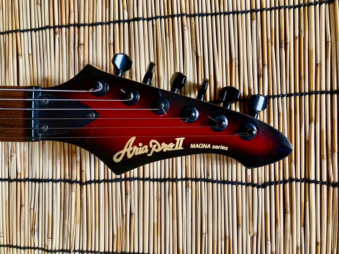 ☆他に類を見ない貴方だけの一本　AriaProⅡ MAGNA HSH ST