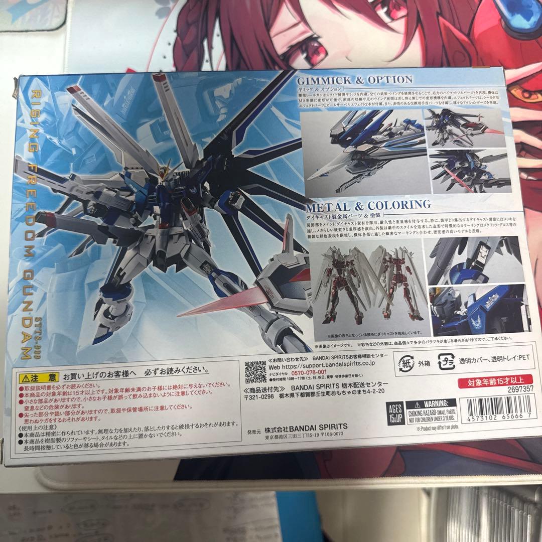 メタルロボット魂　ライジングフリーダムガンダム