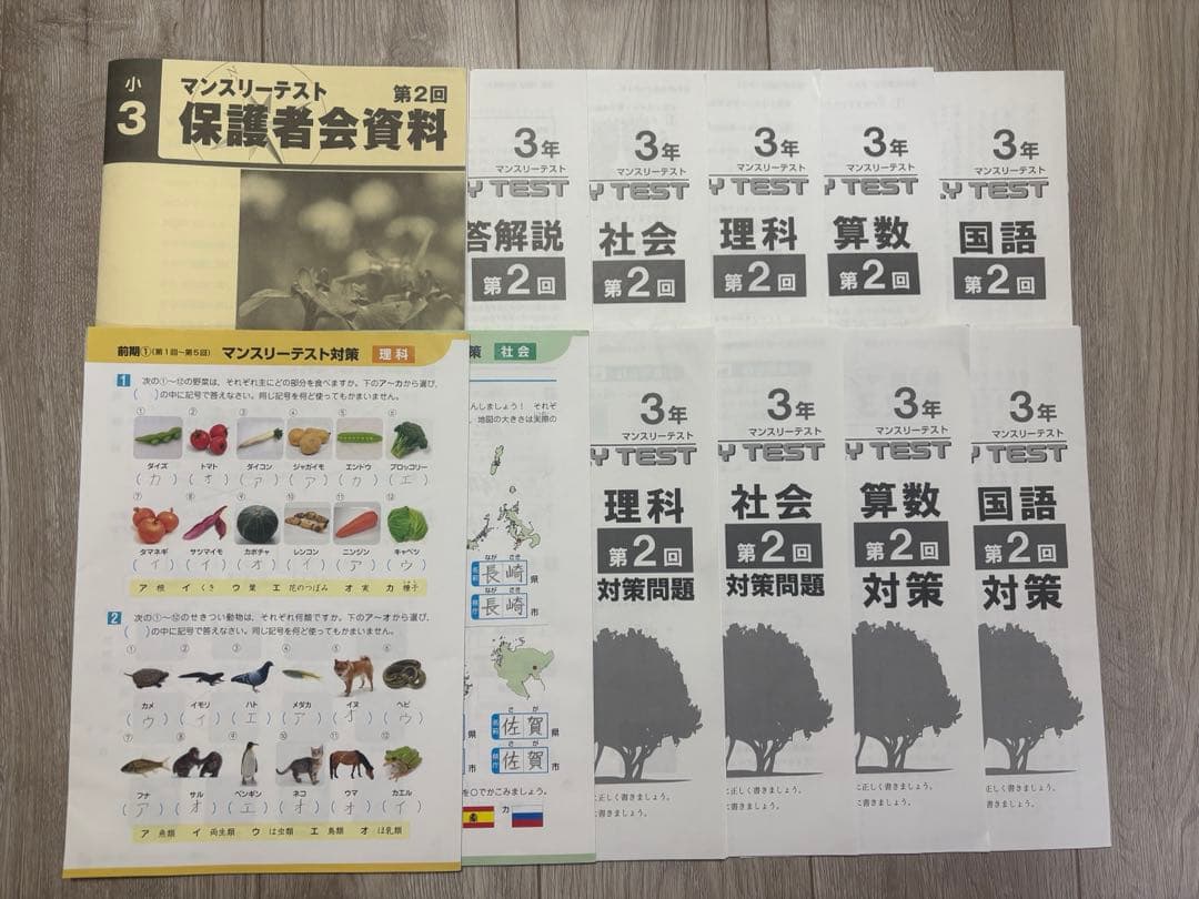 小３　早稲田アカデミー　ワセアカ　マンスリーテスト　1年分セット　原本