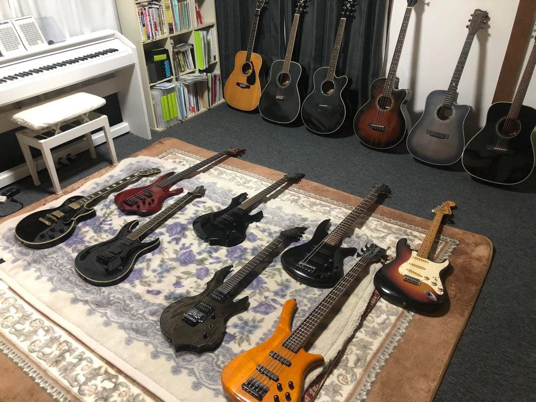 ESP Forest-STD ESP専用ソフトケース付き