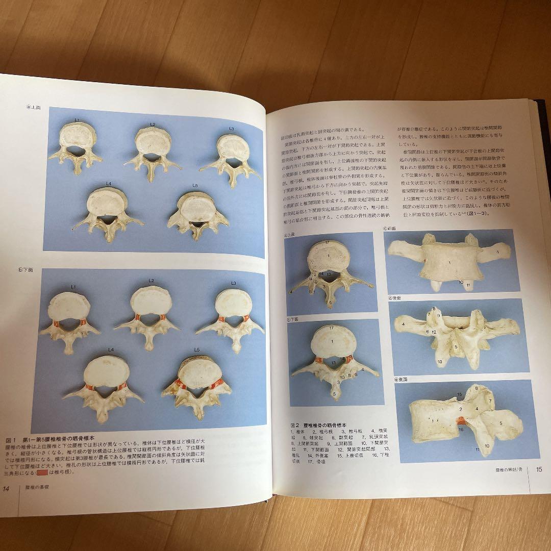 図説腰椎の臨床