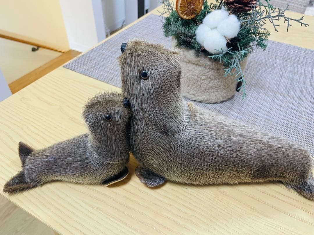 アザラシ ぬいぐるみ 2体セット