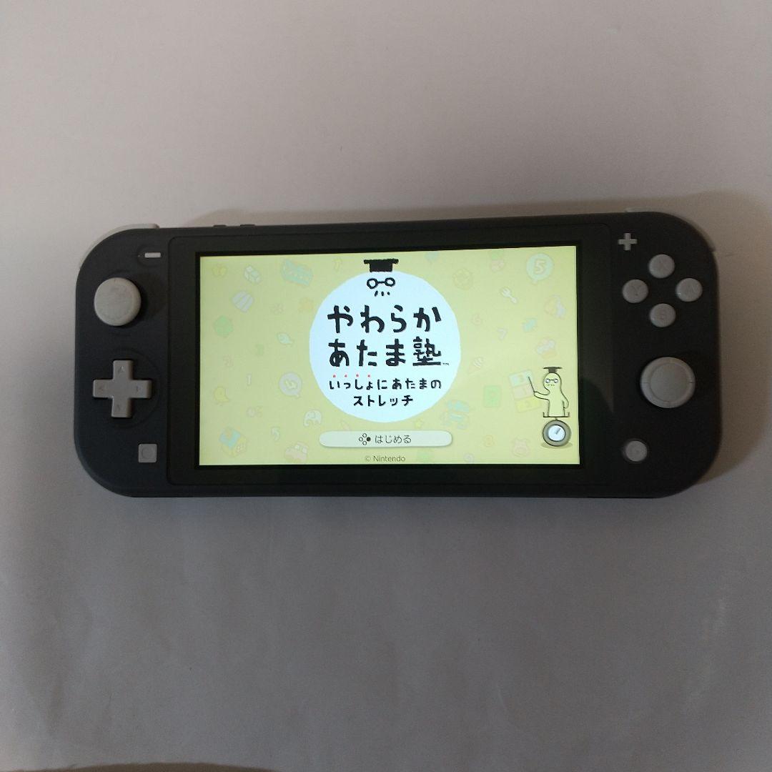 Nintendo Switch Lite グレー 本体＋純正充電器＋保護＋収納