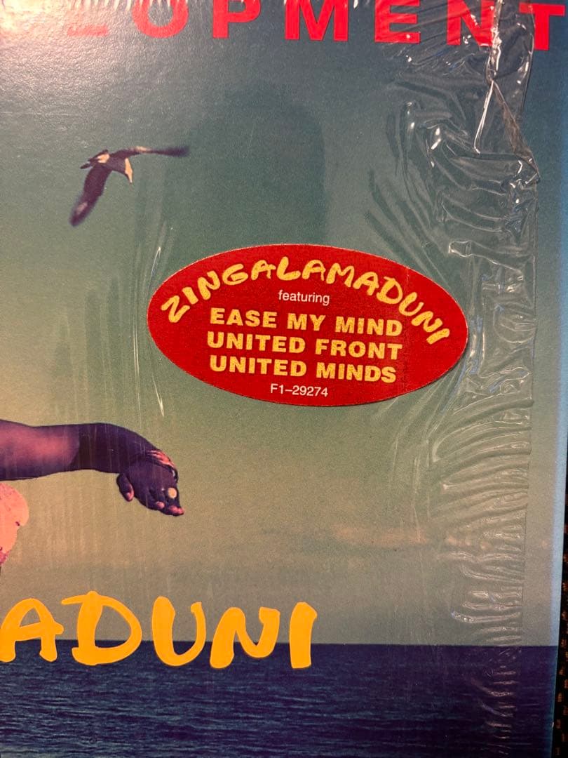 ARRESTED DEVELOPMENT ZINGALAMADUNI 2LP美品