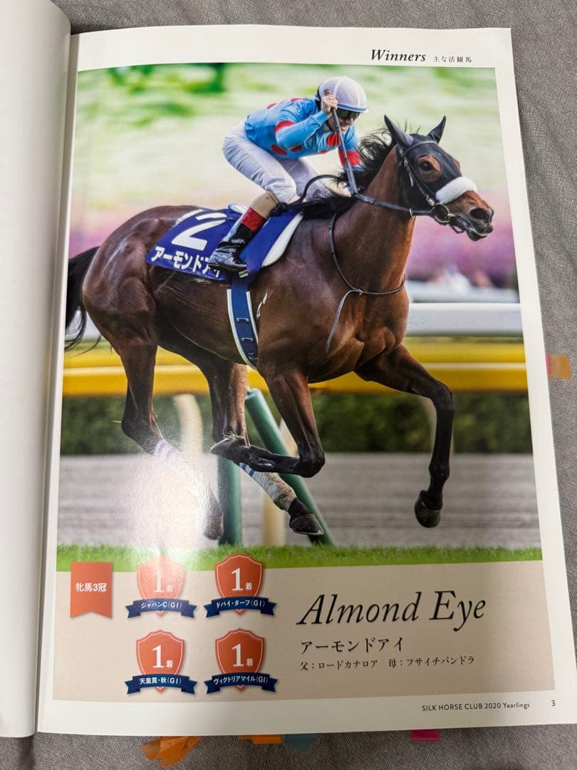 競馬非売品　2020年イクイノックス募集時　カタログ募集時馬体重メモ記載