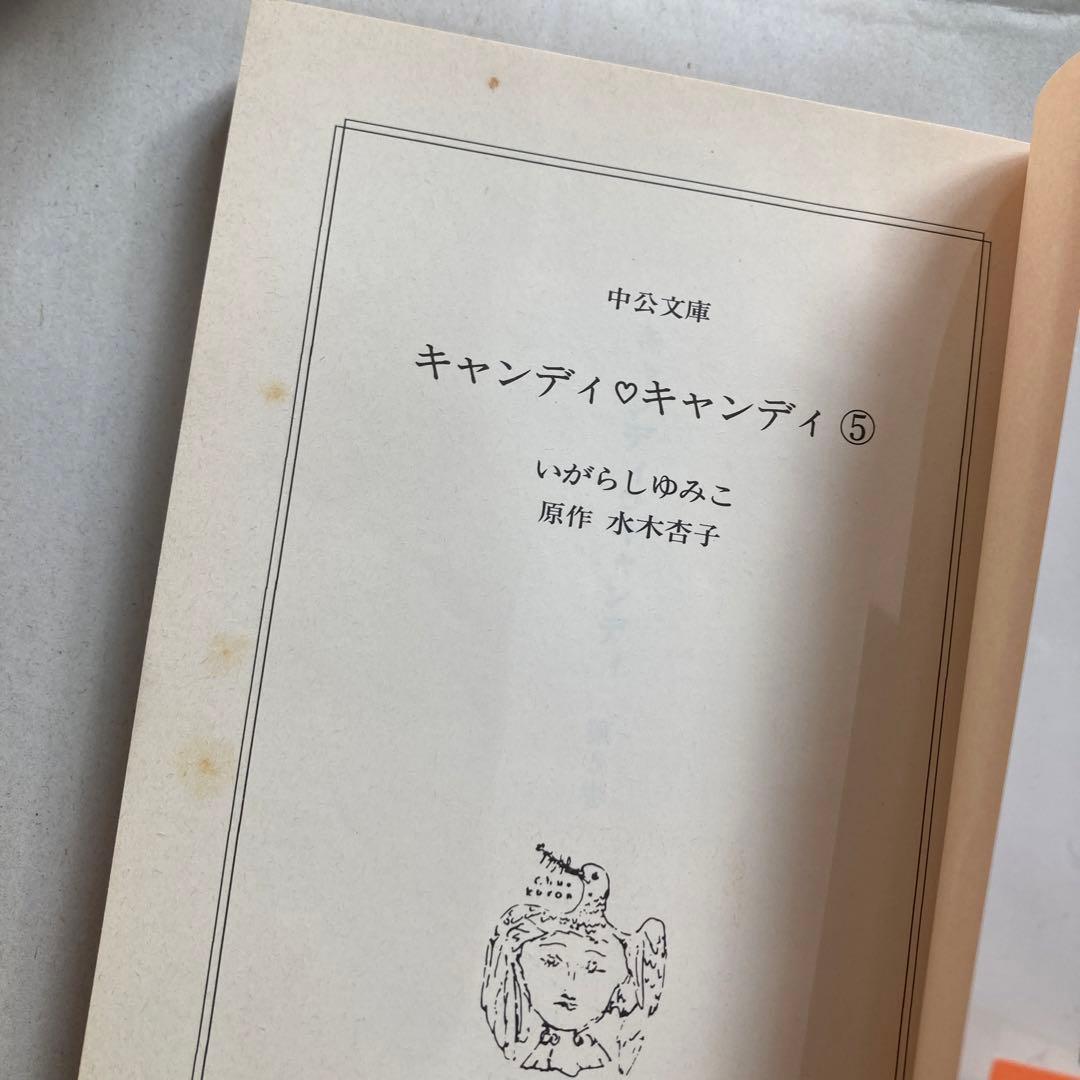 キャンディ♡キャンディ いがらしゆみこ 文庫版 漫画 全巻　匿名配送