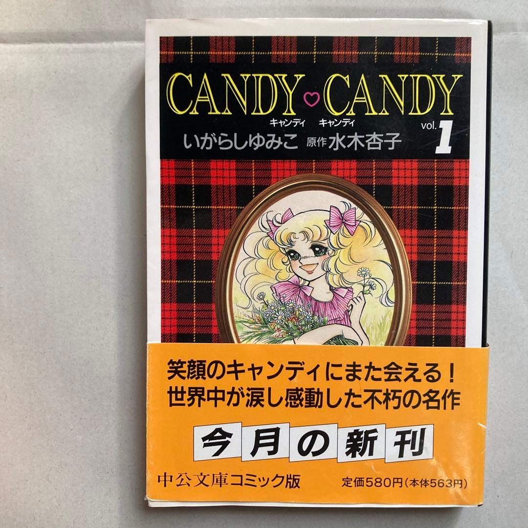 キャンディ♡キャンディ いがらしゆみこ 文庫版 漫画 全巻　匿名配送