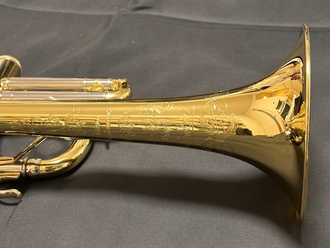 V.BachアルティザンE♭管 AE190GL 長谷川智之氏選定品 [中古]