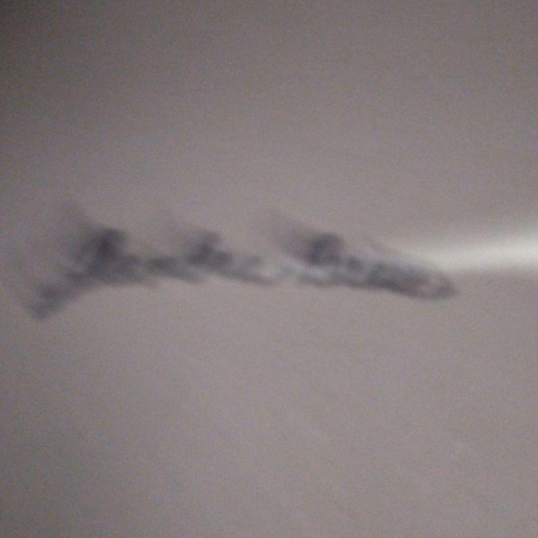 犬の彫刻 樹脂製 クリーム色