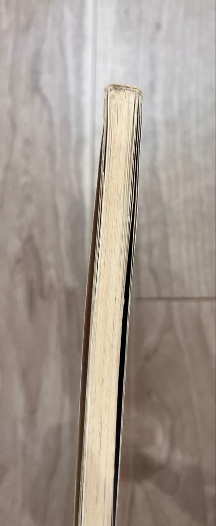 希少　MINKY-MOMO原画集　初版サイン入PRINCESS OF MAGIC