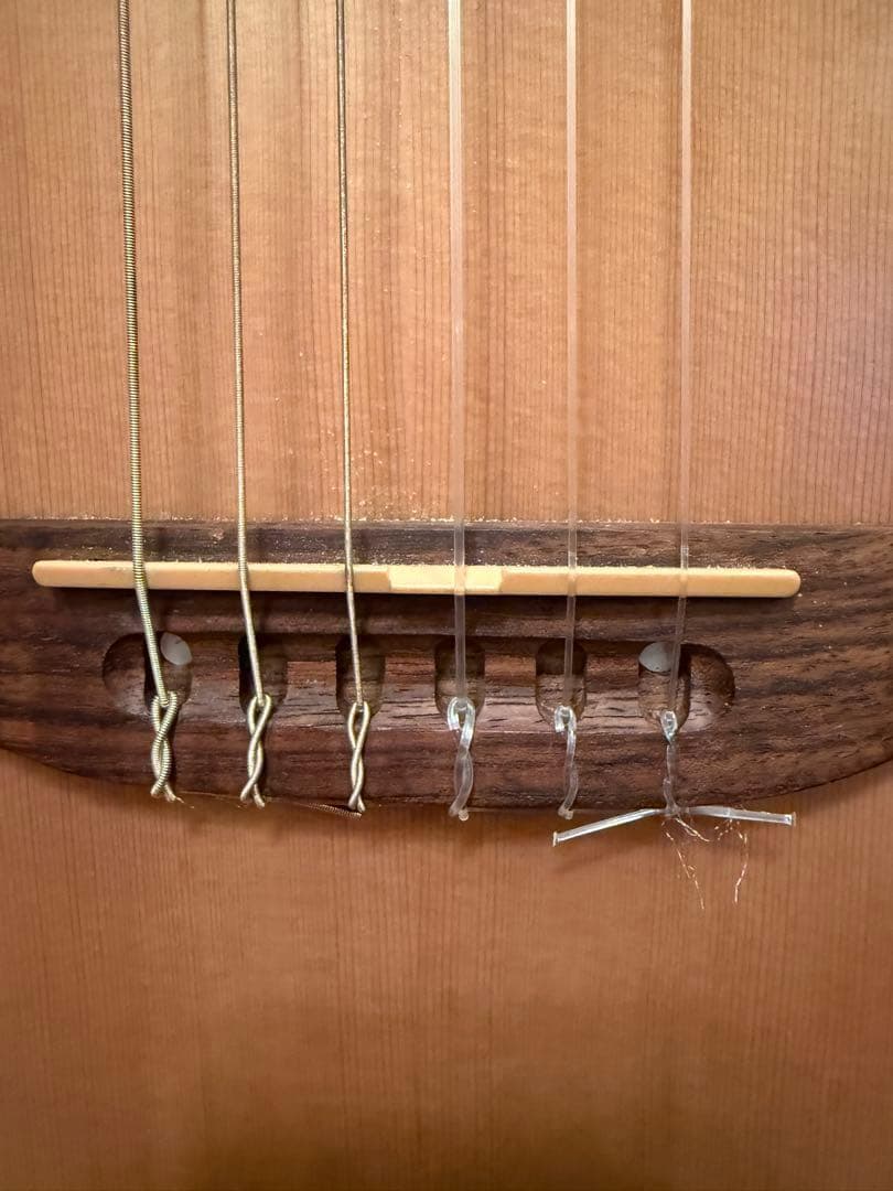 モツ様 Godin Multiac Nylon Encore Natural