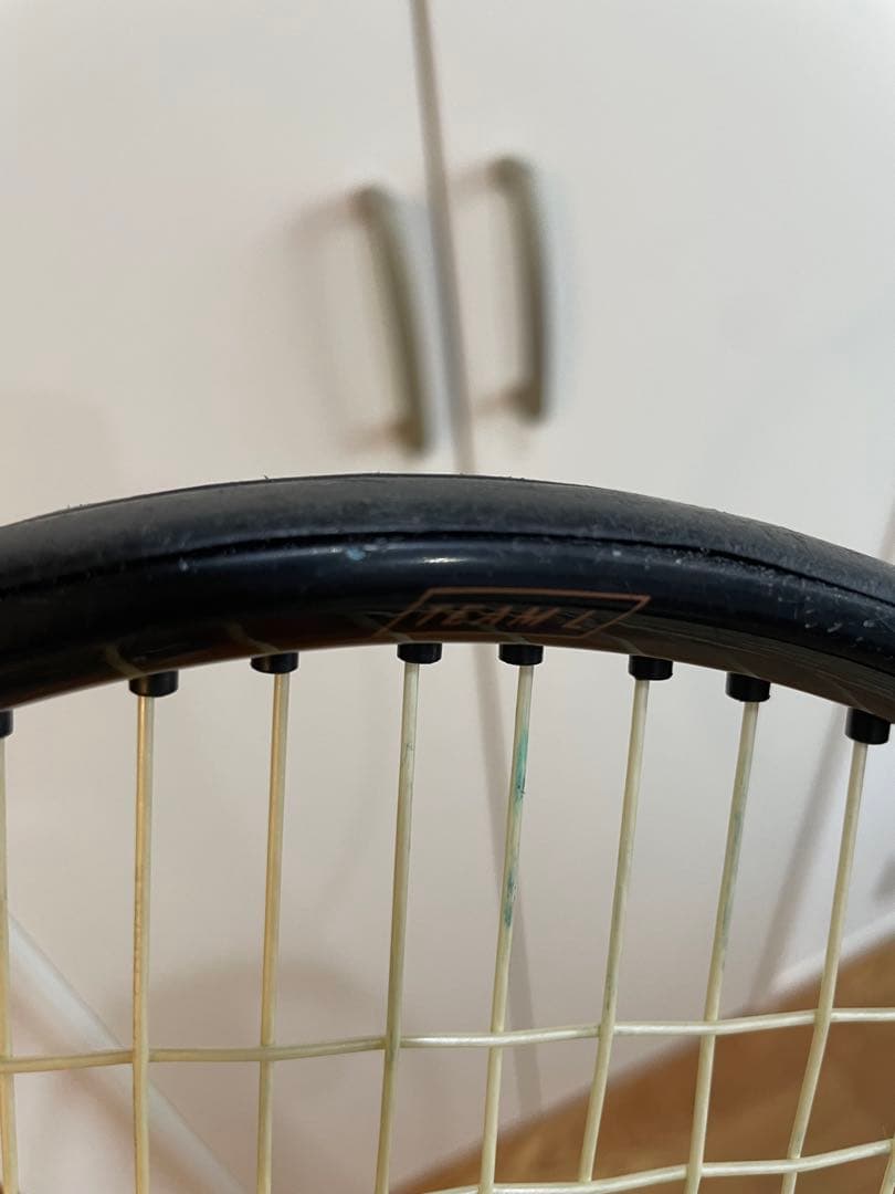 ヘッド HEAD SPEED スピードTEAM L