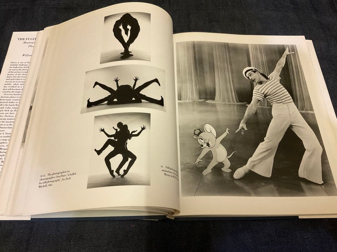 THE FUGITIVE GESTURE ダンス写真集 1987年