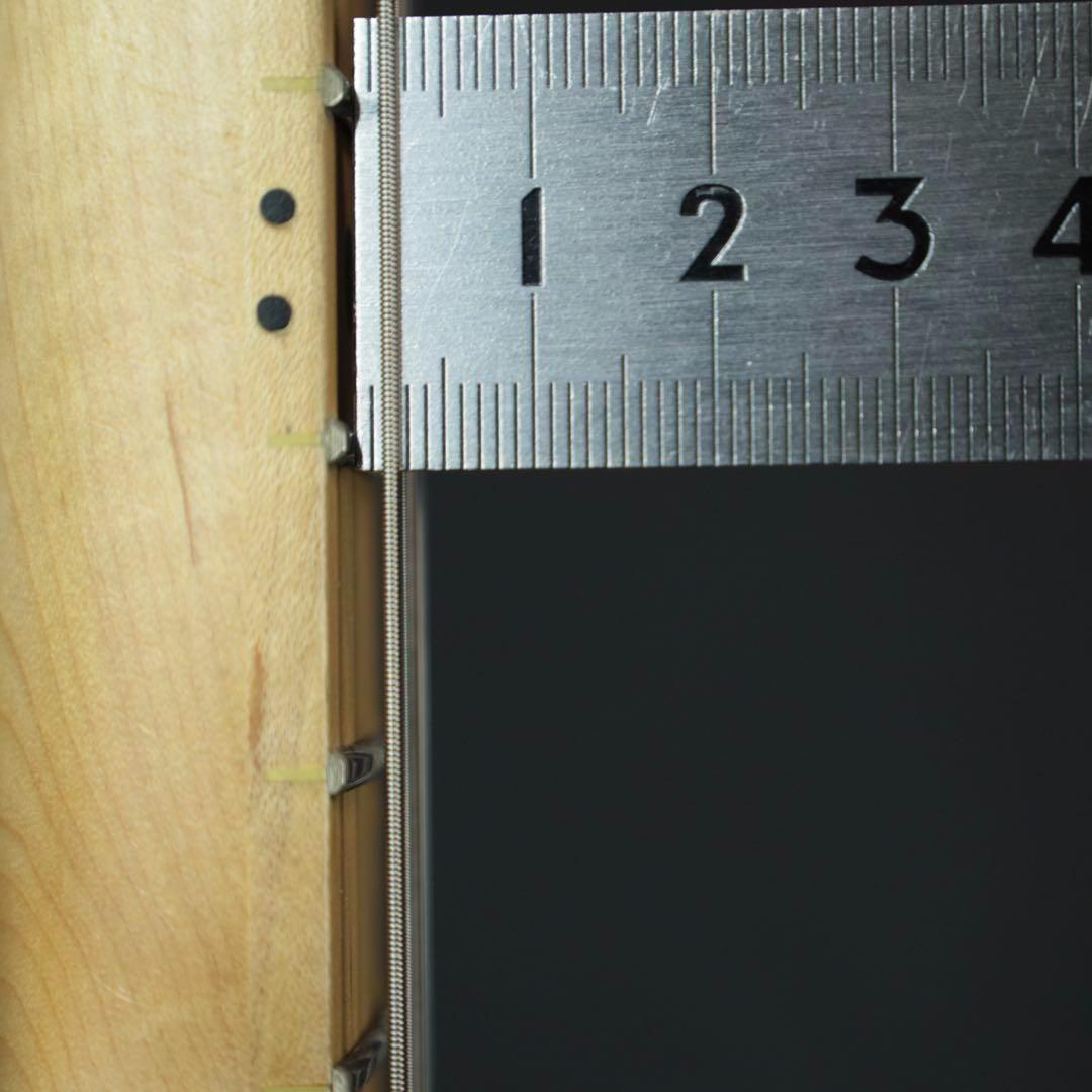 Bacchus ユニバース シリーズ ストラトキャスター ブラック