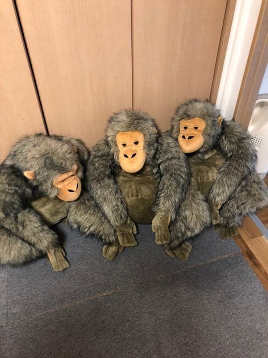 ジャンボ オラウータぬいぐるみ 2匹セット