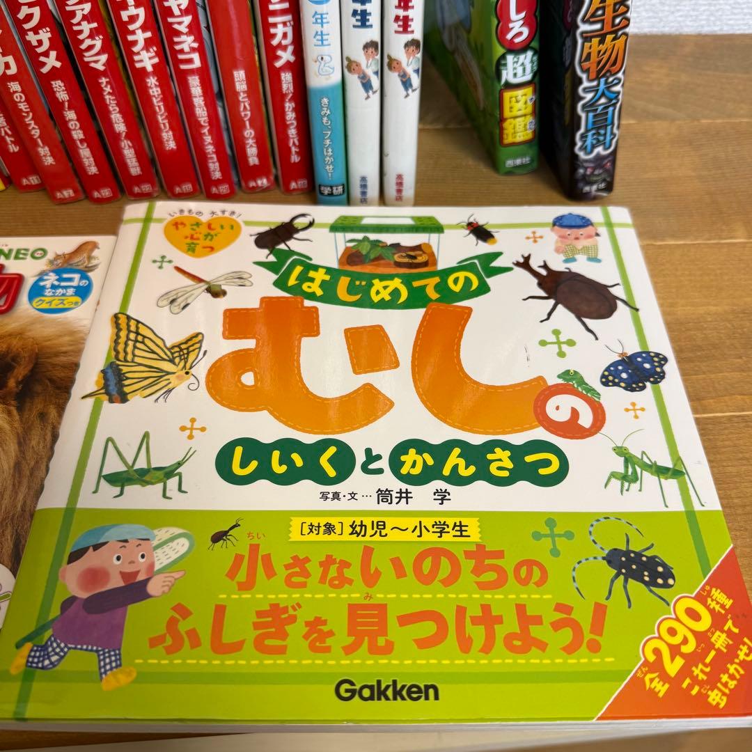 幼稚園～小学生向け本23冊 どっちが強い15巻セット 図鑑 絵本 児童書
