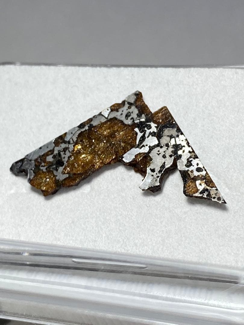 パラサイト隕石　Hassi el Biod 002　スライス　ケース　証明書付き