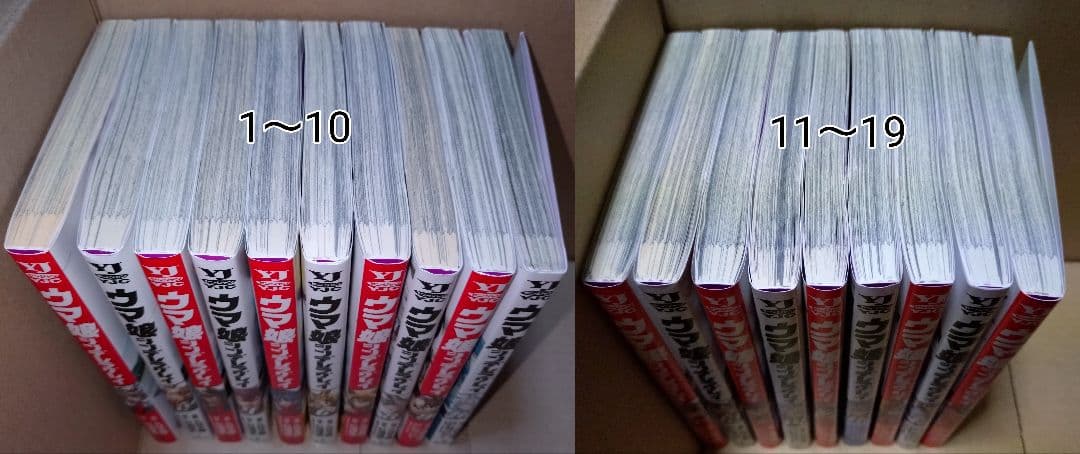 ウマ娘　シンデレラグレイ　単行本　1〜19巻