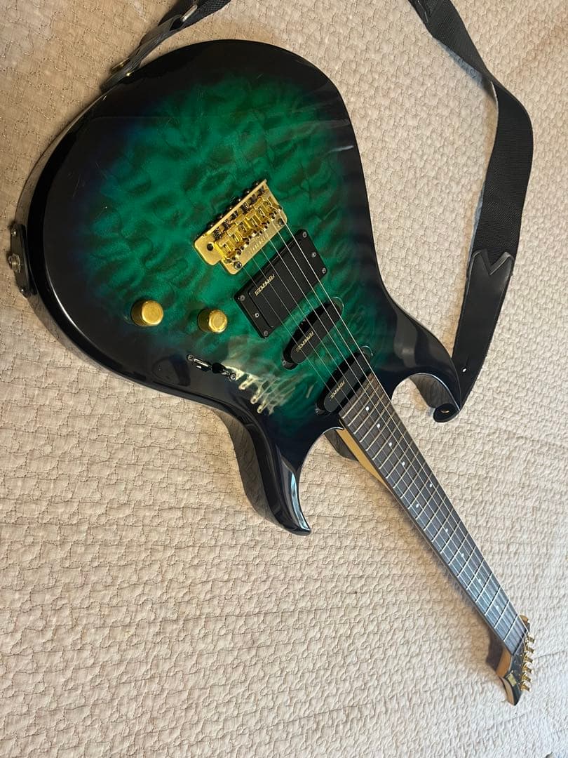 Fernandes フェルナンデス　FGZ-420 グラデーションカラー