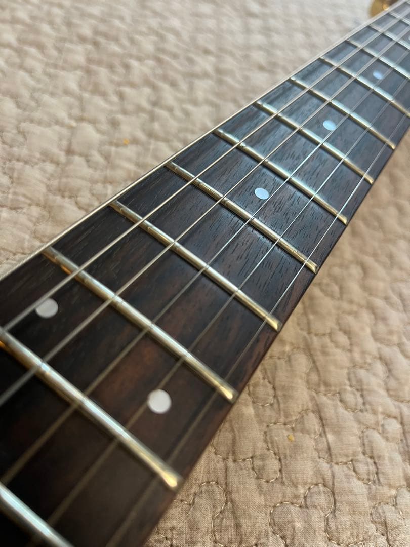 Fernandes フェルナンデス　FGZ-420 グラデーションカラー