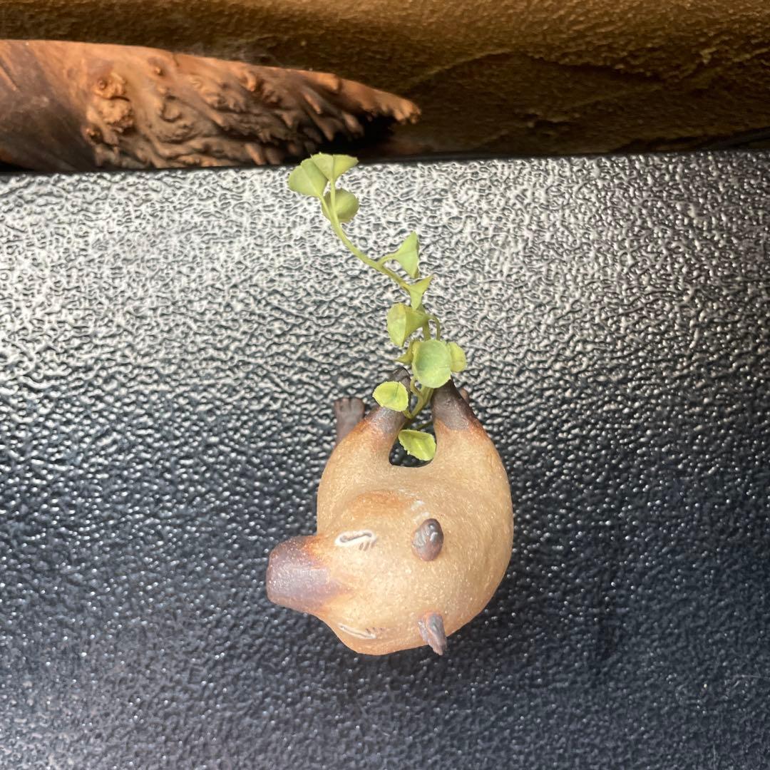 かとうゆみ　カピバラ