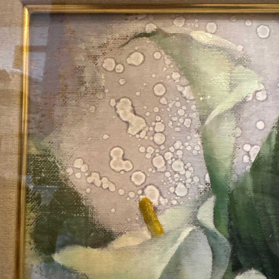 三越美術部取扱 川畑太「カラ―」2010年個展作品 額装 絵画 花 カラー