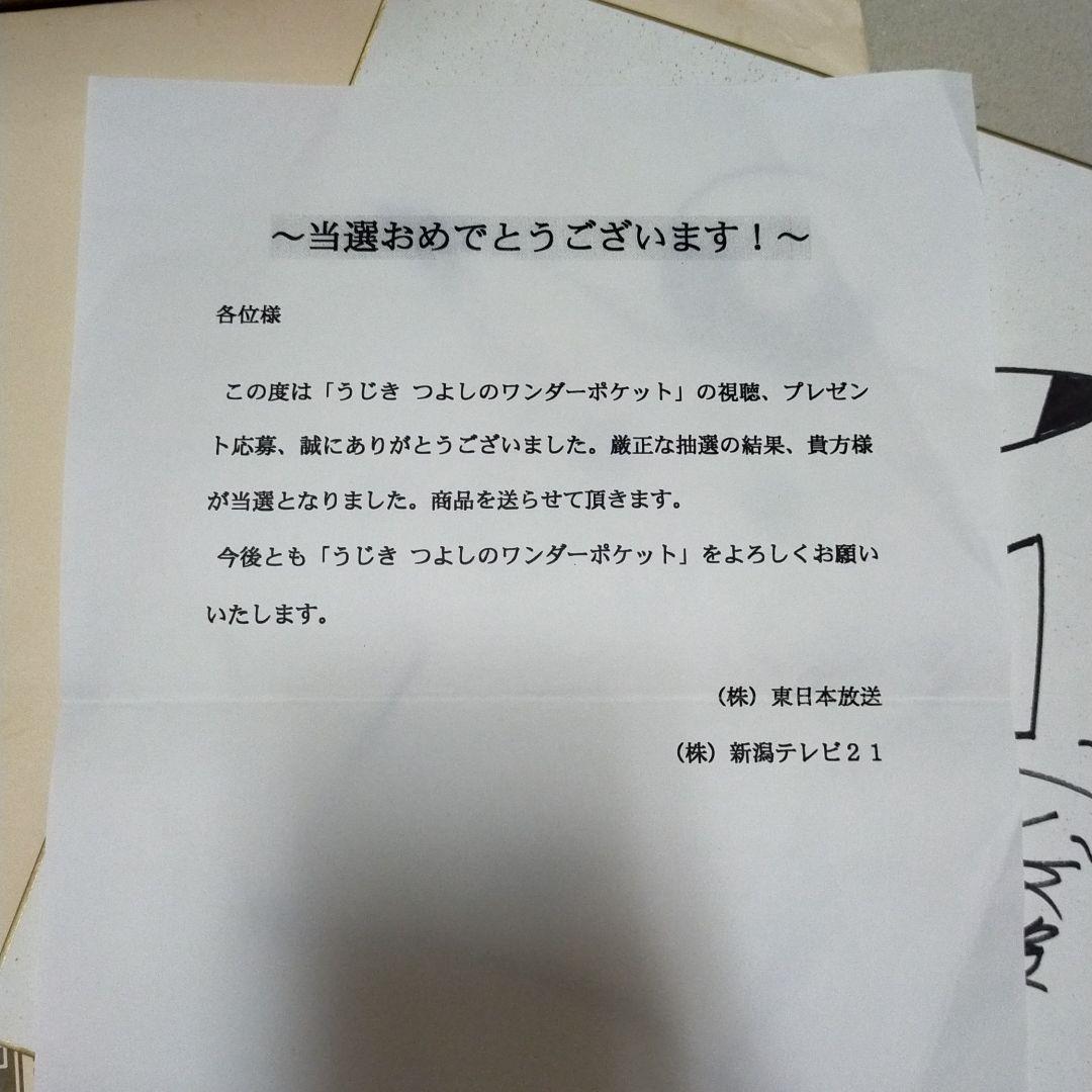 ポケモン　ピカチュウ　ピッピ　ギエピー　穴久保版　コロコロコミック