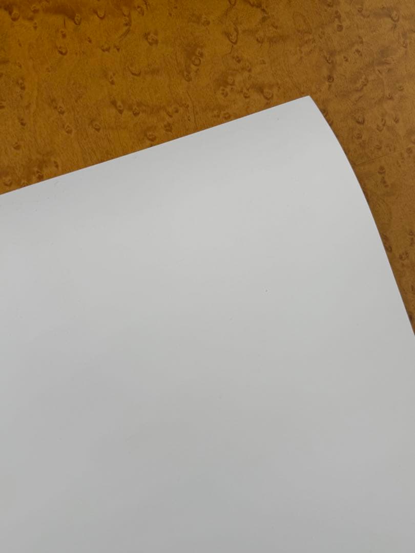 【新品】激レア　奈良美智　FireAid ポスター②