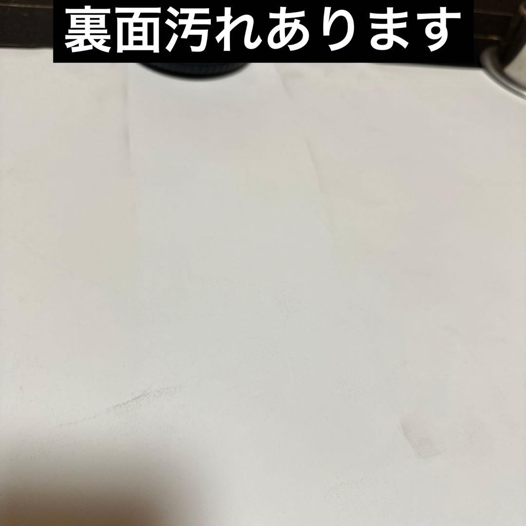 桃井かおり　A1サイズ　ポスター　SK-Ⅱ 当時品　女優　タレント　化粧品　③