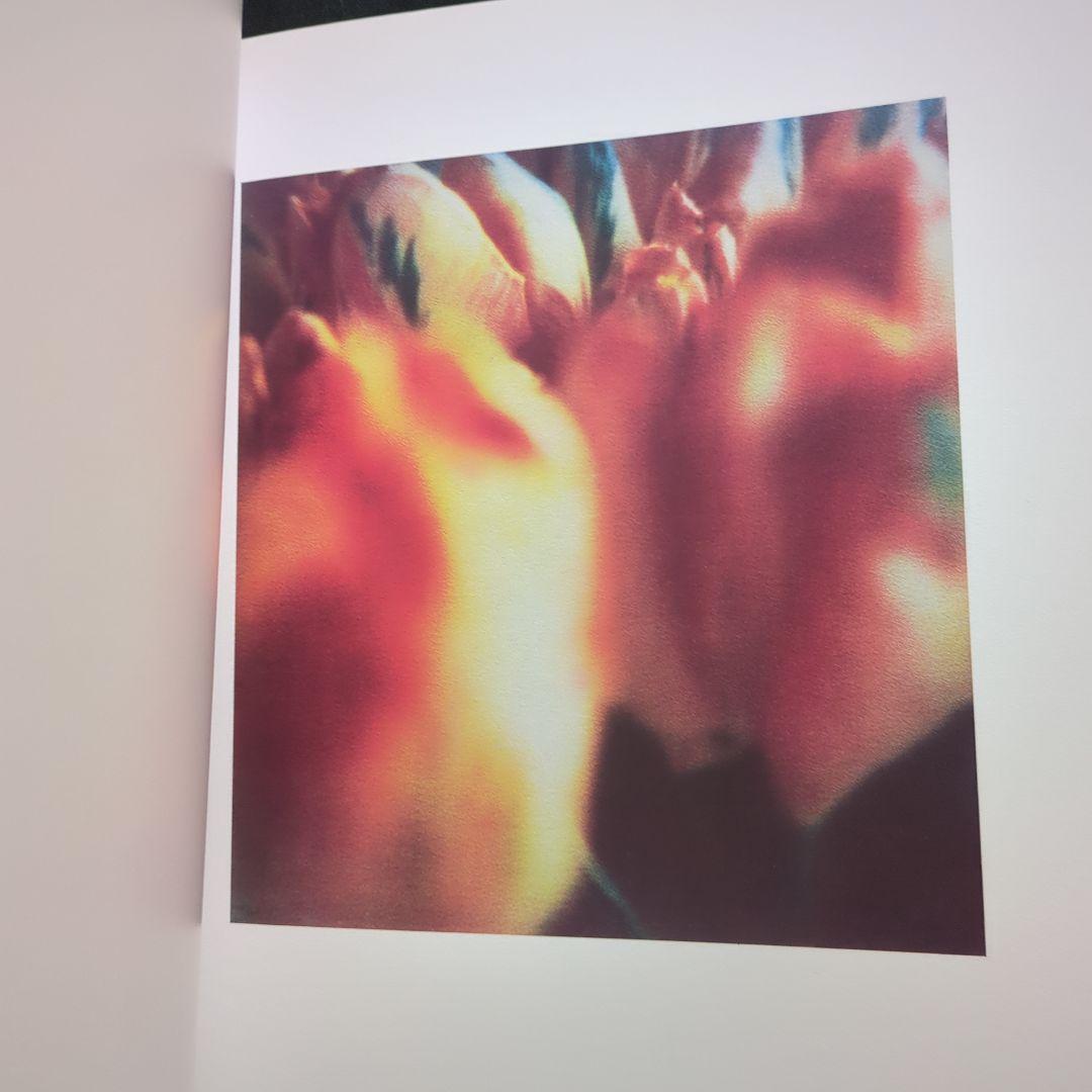 Cy Twombly サイ・トゥオンブリー Photographs 洋書 写真集