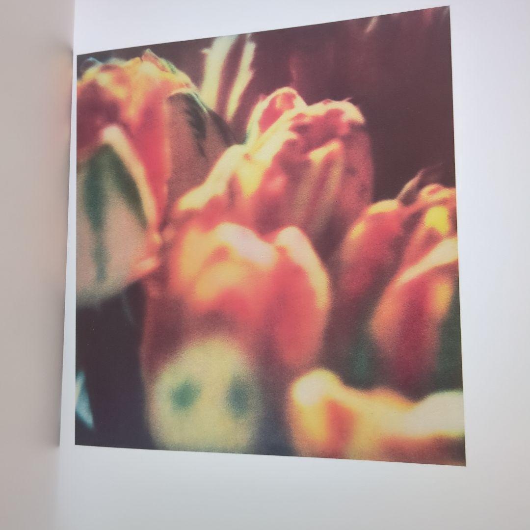 Cy Twombly サイ・トゥオンブリー Photographs 洋書 写真集