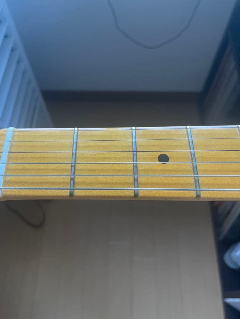 fender American professional ii テレキャスター