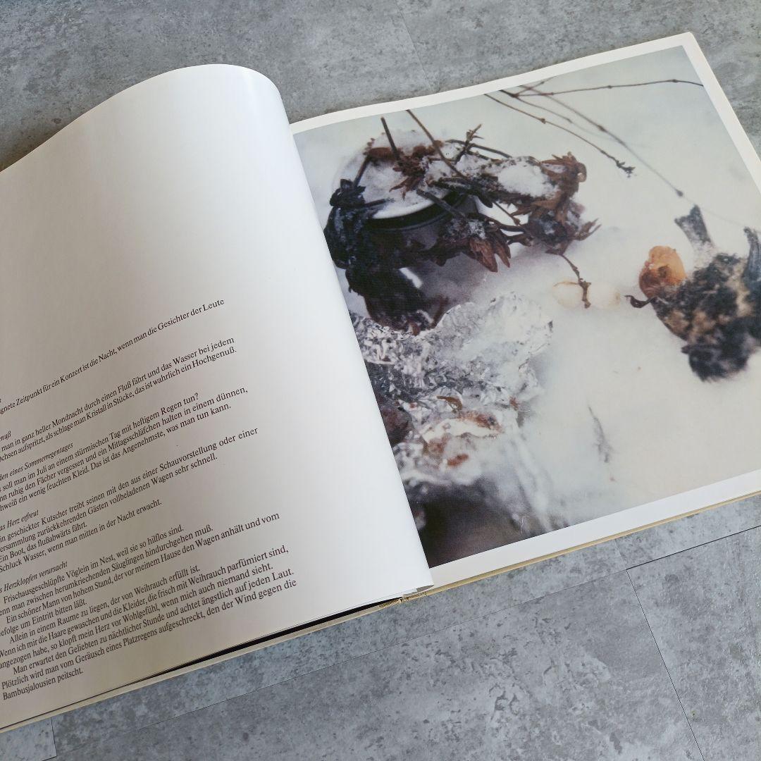 ホルスト　ヤンセン　写真　画集　アート　芸術　ヴィンテージ　レトロ　フィルム