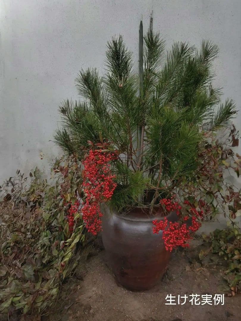 骨董　陶器製　水瓶　みずがめ