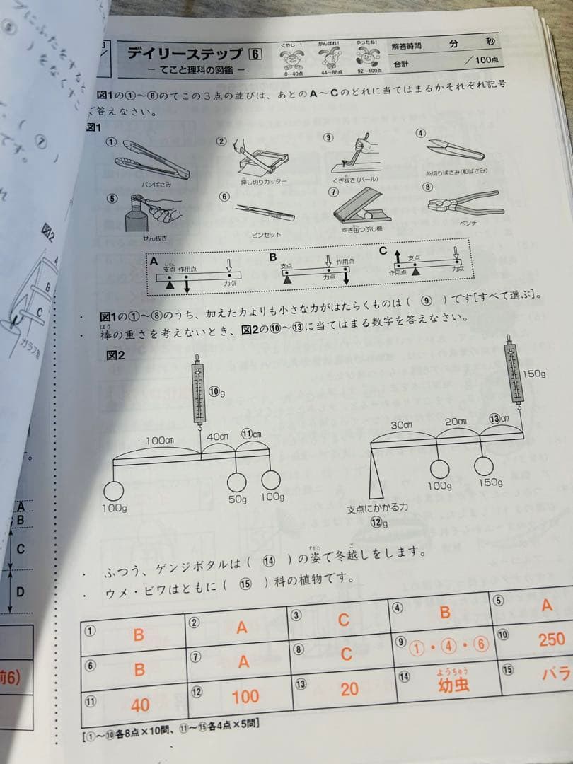 ADサピックス　貴重　暗記教材　5年　理科　重要ポイント　1年分フルセット