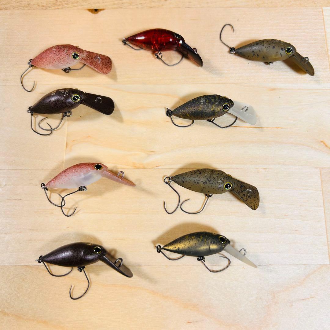 希少 ロデオクラフト × ティモン コラボカラー モカ DR F SS 計9個