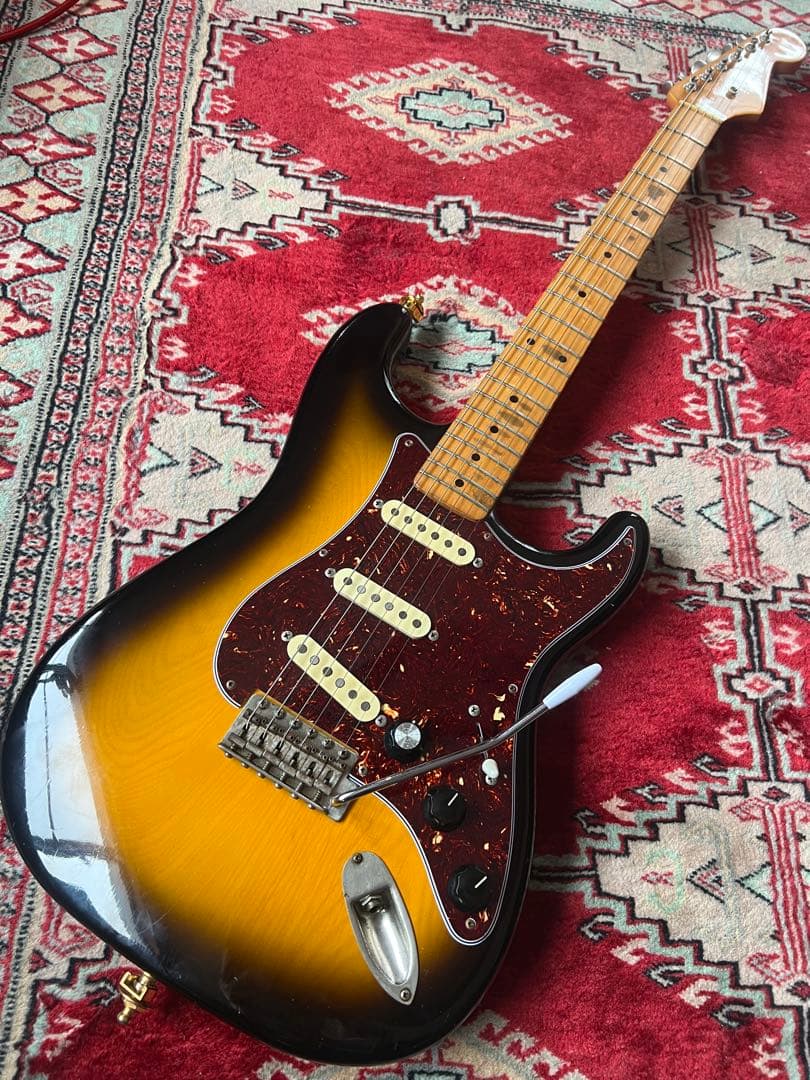 メーカー不明　ストラトタイプ　コンポーネント