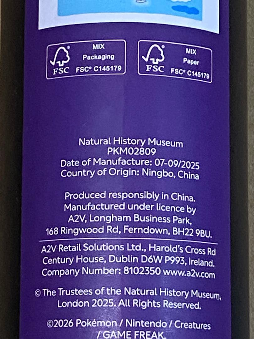 ポケモン ロンドン自然史博物館　ピカチュウA3 ポスター　A