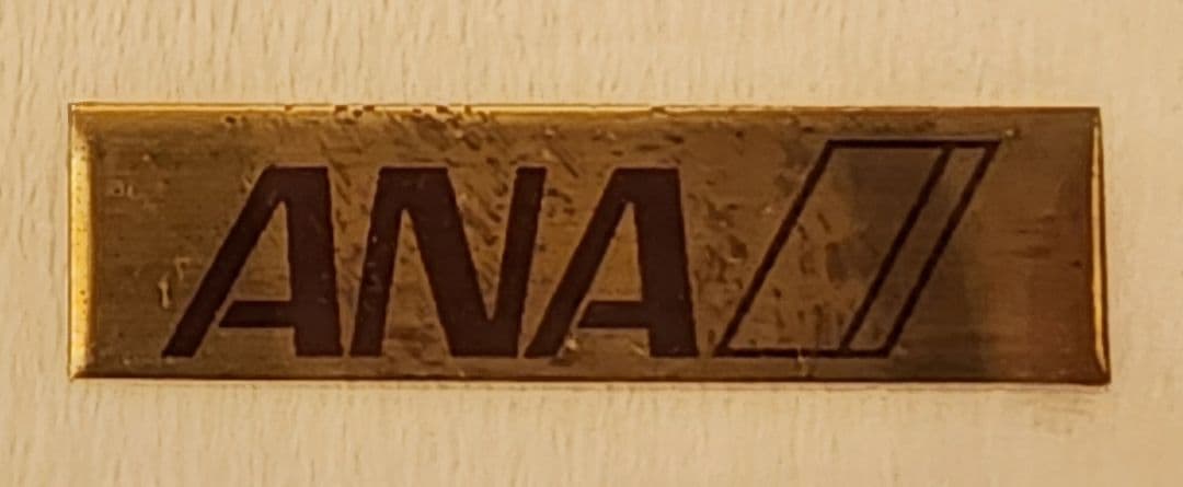 ANA 機体カードCollection 9枚 額装 鑑賞専用