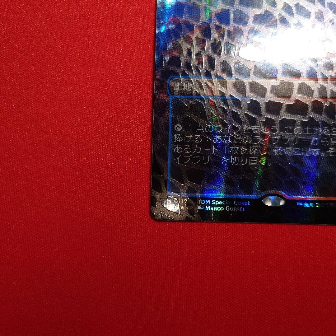 沸騰する小湖　ドラゴンスケイルFoil　日