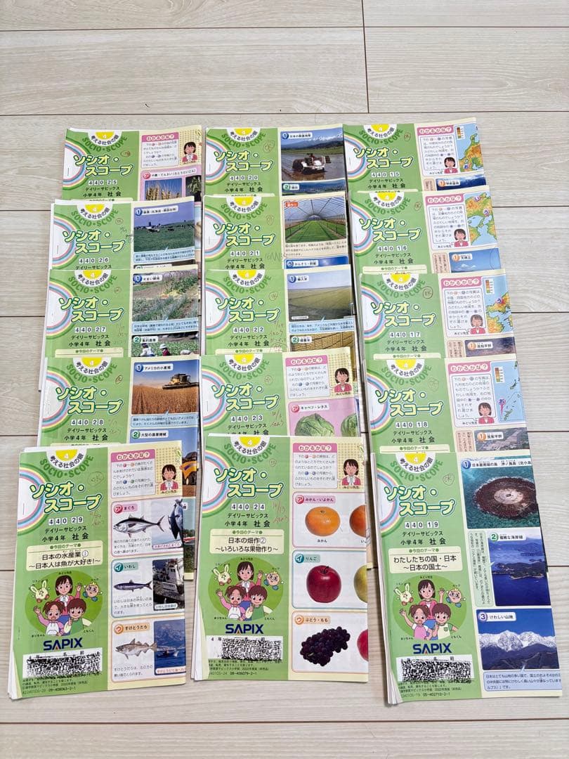SAPIX 4年 社会　デイリー&春期＆夏期＆冬期セット