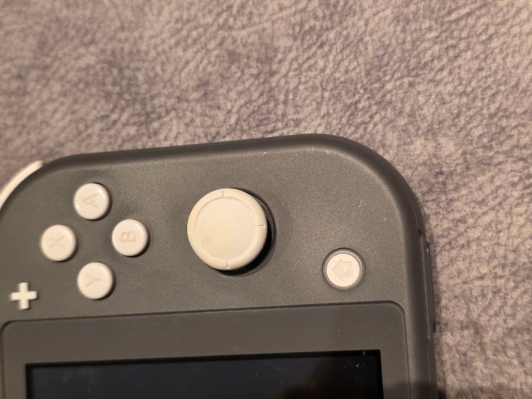 Switchライト グレー 2021